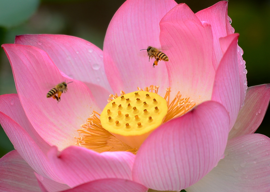 1411700436981501.jpg 生活.jpg