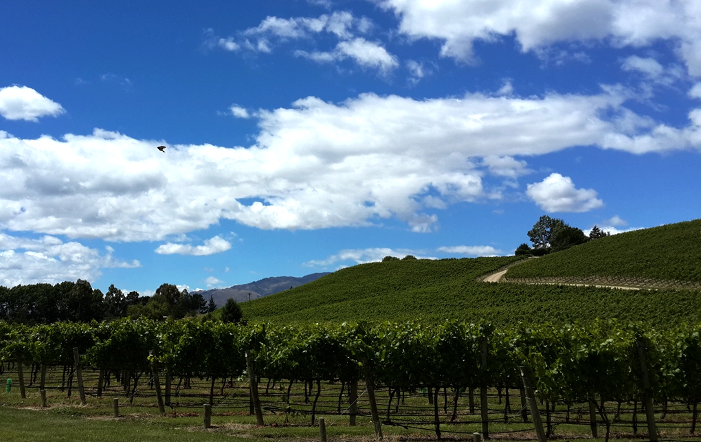 1412904346497144.jpg 故乡的云.jpg