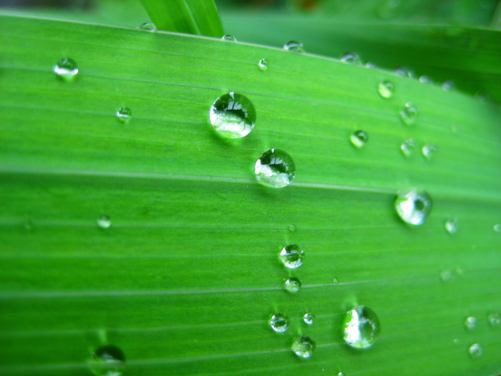 1412905331552092.jpg 晶莹剔透.jpg