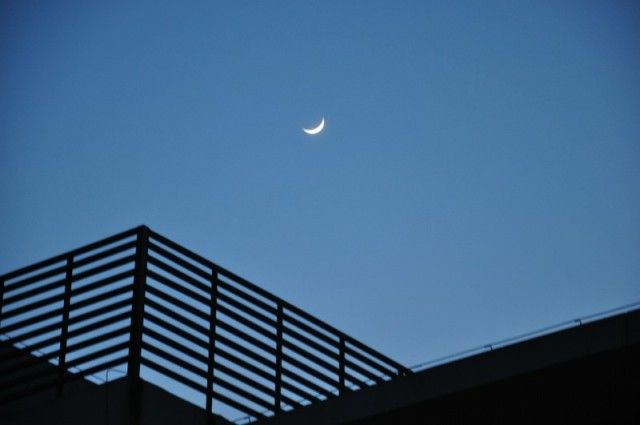 1412906322760071.png 抬头望明月.png