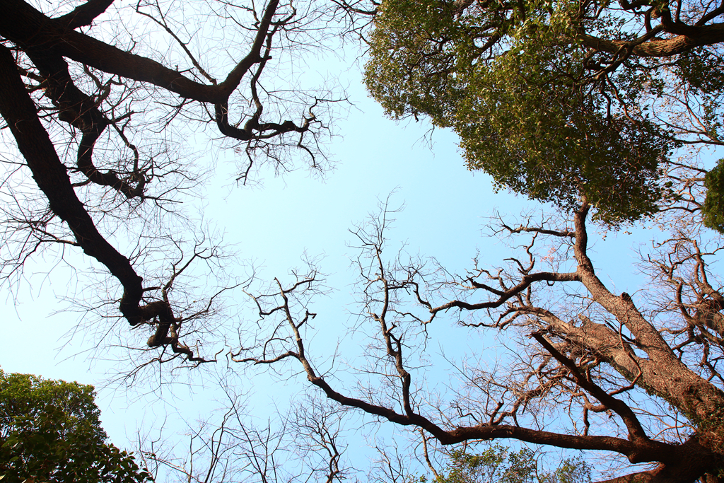 1413946584737616.jpg “牵手”千年.JPG