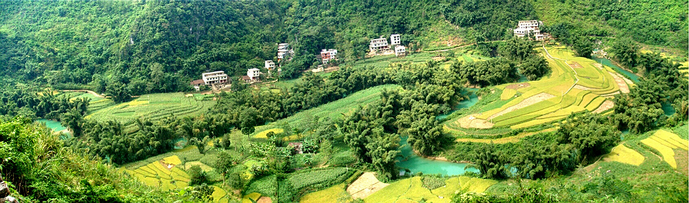 1415271089939512.jpg 广西巴马弄友八卦田园风光.jpg