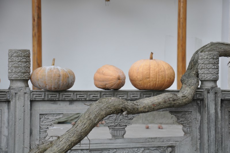 1415796443117848.jpg 伴.jpg