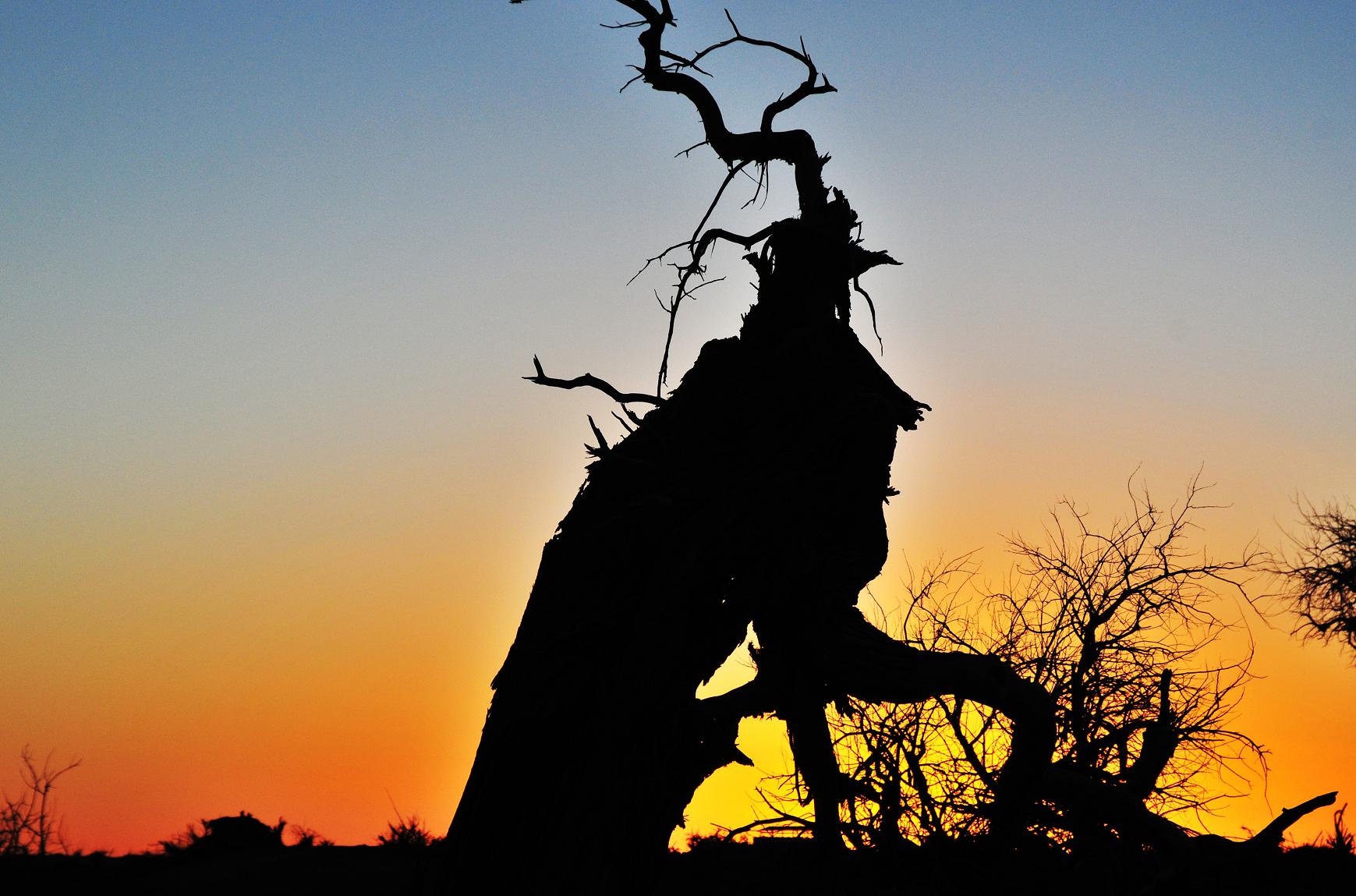 1415865121263868.jpg 期盼--怪兽.jpg