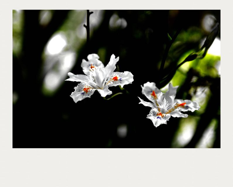 1416571973757343.jpg 相伴.jpg