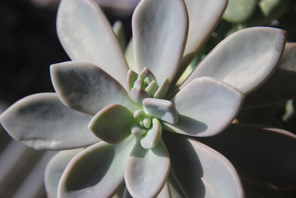 1417430272857685.jpg 同心同德.jpg