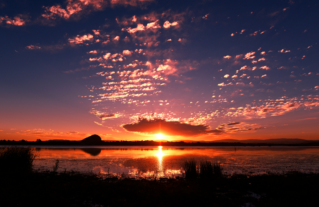 1417430906983414.jpg 朝霞满天.jpg