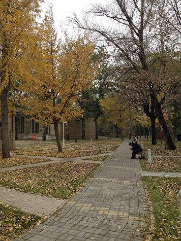 1417442376348346.jpg IMG_2333.JPG